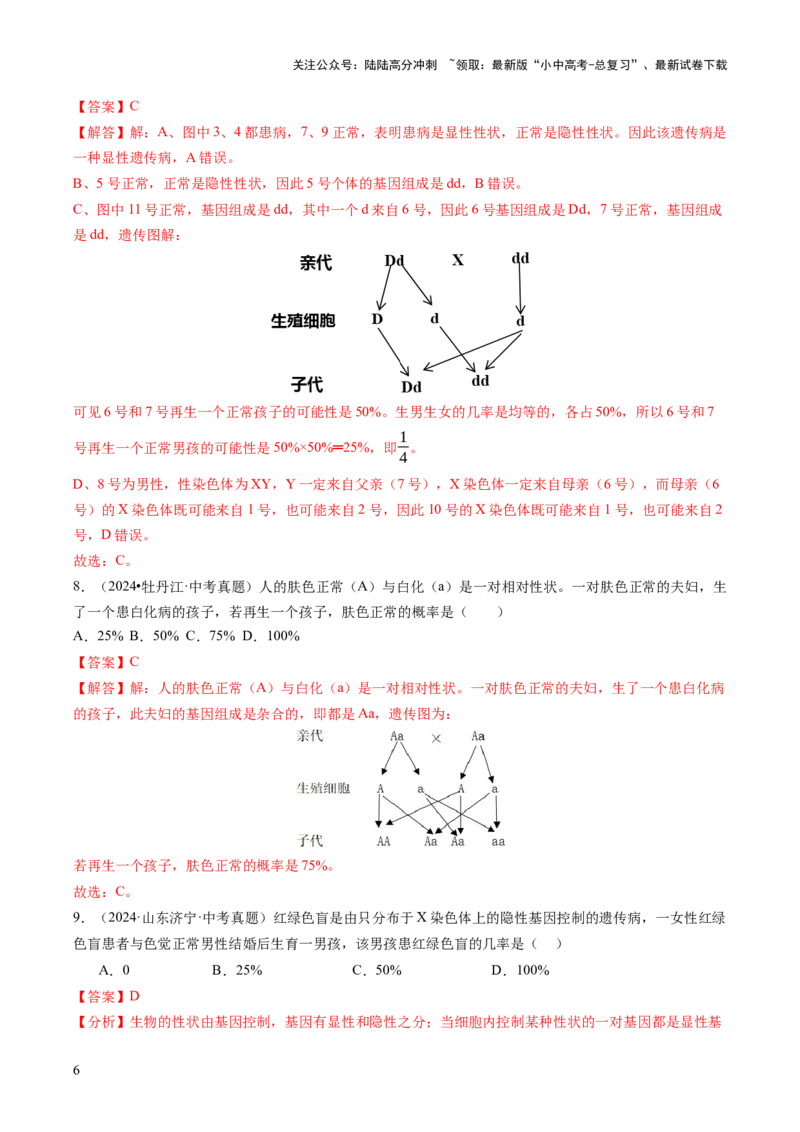 热点突破04基因组成及概率计算（讲练）（解析版）_02中考总复习（2026版更新中）_08-生物-中考总复习_2025中考复习资料_2025中考二轮课件ppt+讲义+练习生物_讲义+练习