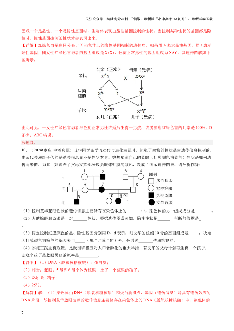 热点突破04基因组成及概率计算（讲练）（解析版）_02中考总复习（2026版更新中）_08-生物-中考总复习_2025中考复习资料_2025中考二轮课件ppt+讲义+练习生物_讲义+练习