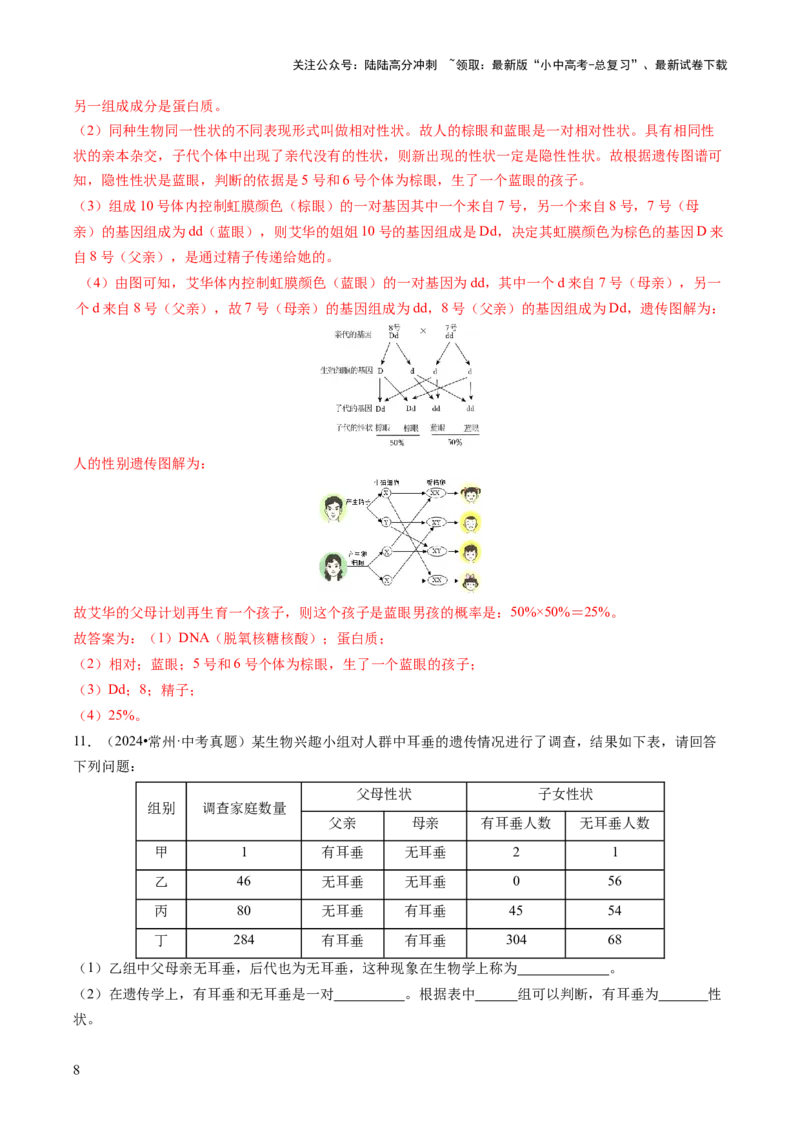 热点突破04基因组成及概率计算（讲练）（解析版）_02中考总复习（2026版更新中）_08-生物-中考总复习_2025中考复习资料_2025中考二轮课件ppt+讲义+练习生物_讲义+练习