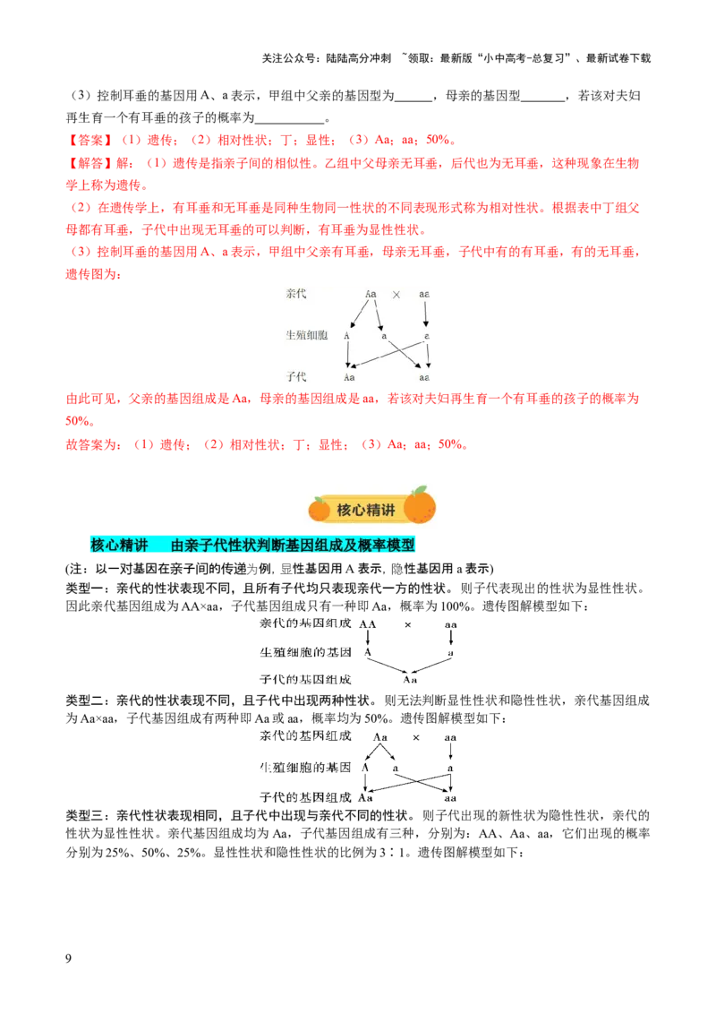 热点突破04基因组成及概率计算（讲练）（解析版）_02中考总复习（2026版更新中）_08-生物-中考总复习_2025中考复习资料_2025中考二轮课件ppt+讲义+练习生物_讲义+练习