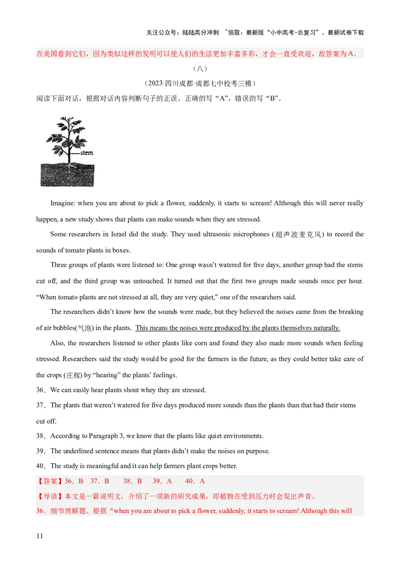 第04讲阅读理解之判断正误（讲义）-2024年中考英语一轮复习讲练测（全国通用）（解析版）_02中考总复习（2026版更新中）_03-英语-中考总复习_2024年中考复习资料_一轮复习