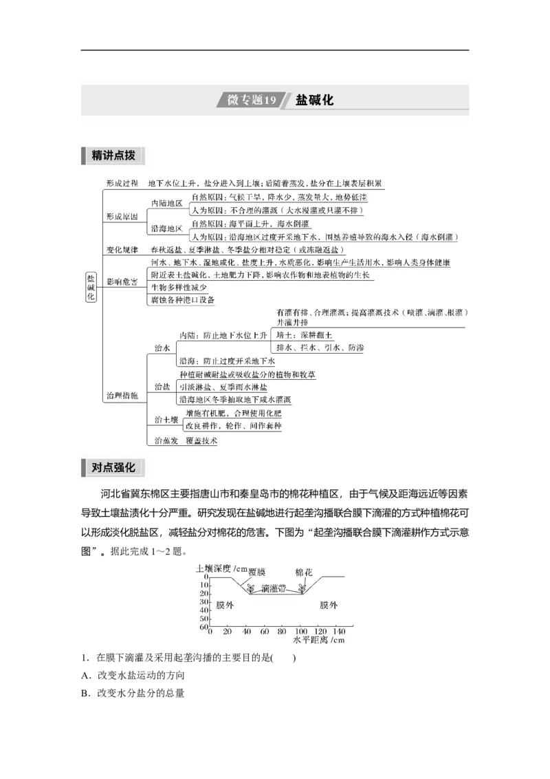 2023年高考地理二轮复习（新高考版）第1部分专题突破专题10微专题19　盐碱化_9.2025地理总复习_2023年新高考复习资料_二轮复习_2023年高考地理二轮复习讲义+课件（新高考版）