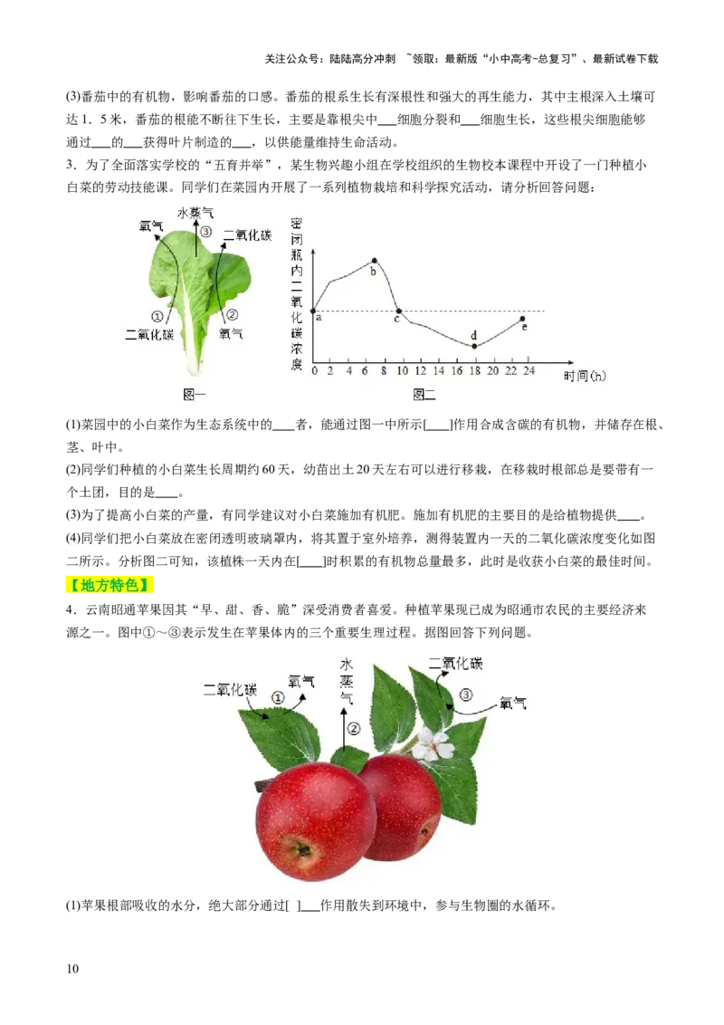 热点突破02植物的三大作用（讲练）（原卷版）_02中考总复习（2026版更新中）_08-生物-中考总复习_2025中考复习资料_2025中考二轮课件ppt+讲义+练习生物_讲义+练习
