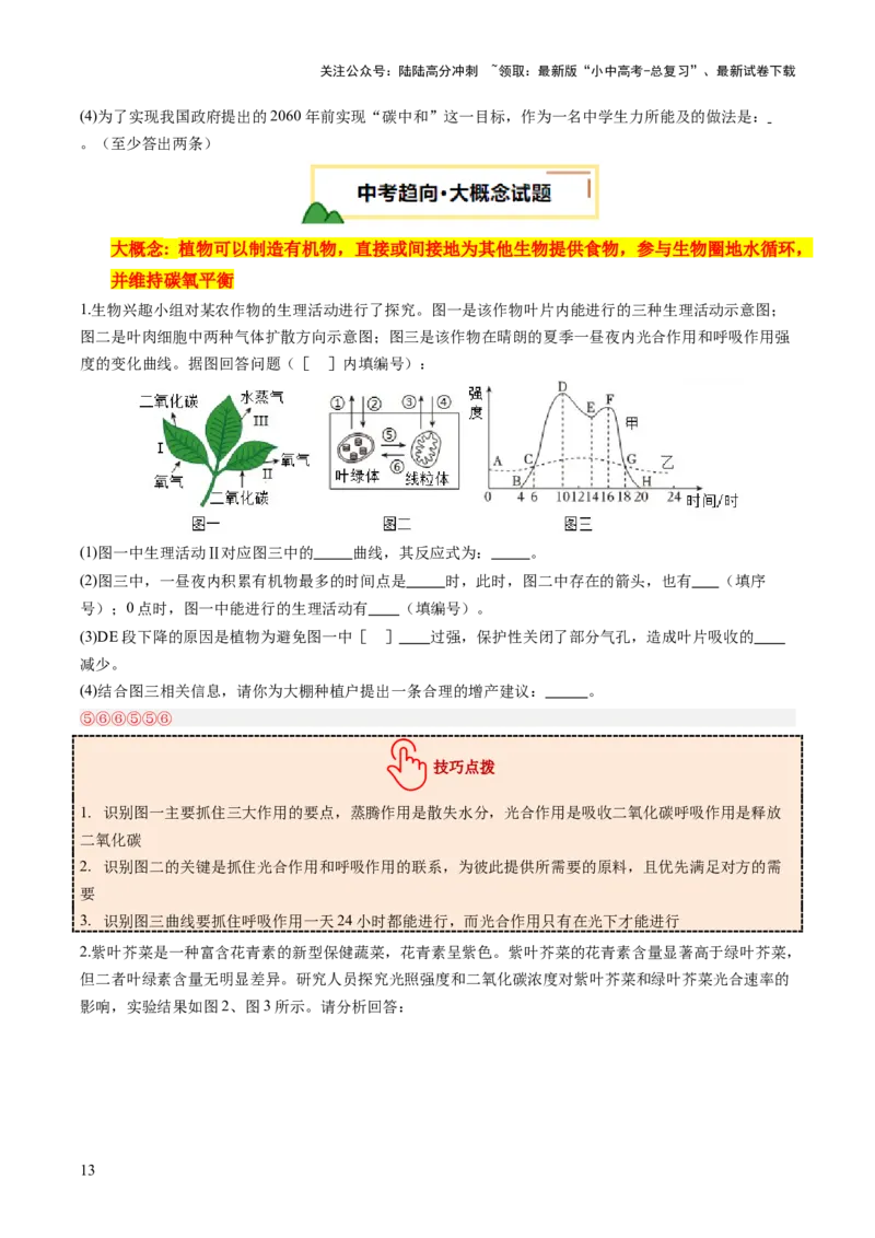 热点突破02植物的三大作用（讲练）（原卷版）_02中考总复习（2026版更新中）_08-生物-中考总复习_2025中考复习资料_2025中考二轮课件ppt+讲义+练习生物_讲义+练习