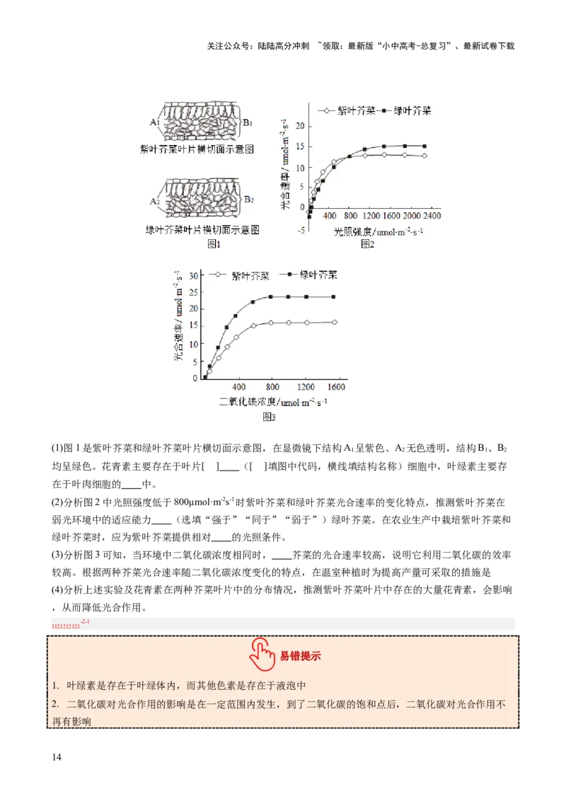 热点突破02植物的三大作用（讲练）（原卷版）_02中考总复习（2026版更新中）_08-生物-中考总复习_2025中考复习资料_2025中考二轮课件ppt+讲义+练习生物_讲义+练习