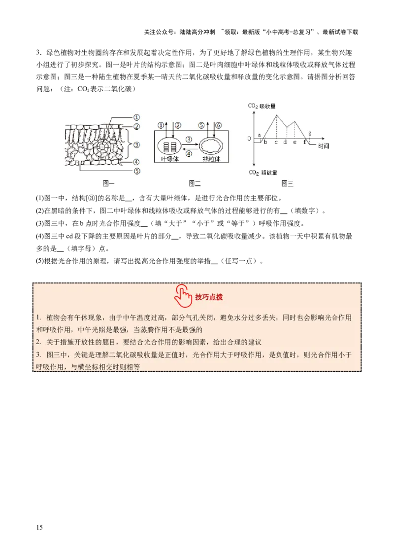 热点突破02植物的三大作用（讲练）（原卷版）_02中考总复习（2026版更新中）_08-生物-中考总复习_2025中考复习资料_2025中考二轮课件ppt+讲义+练习生物_讲义+练习