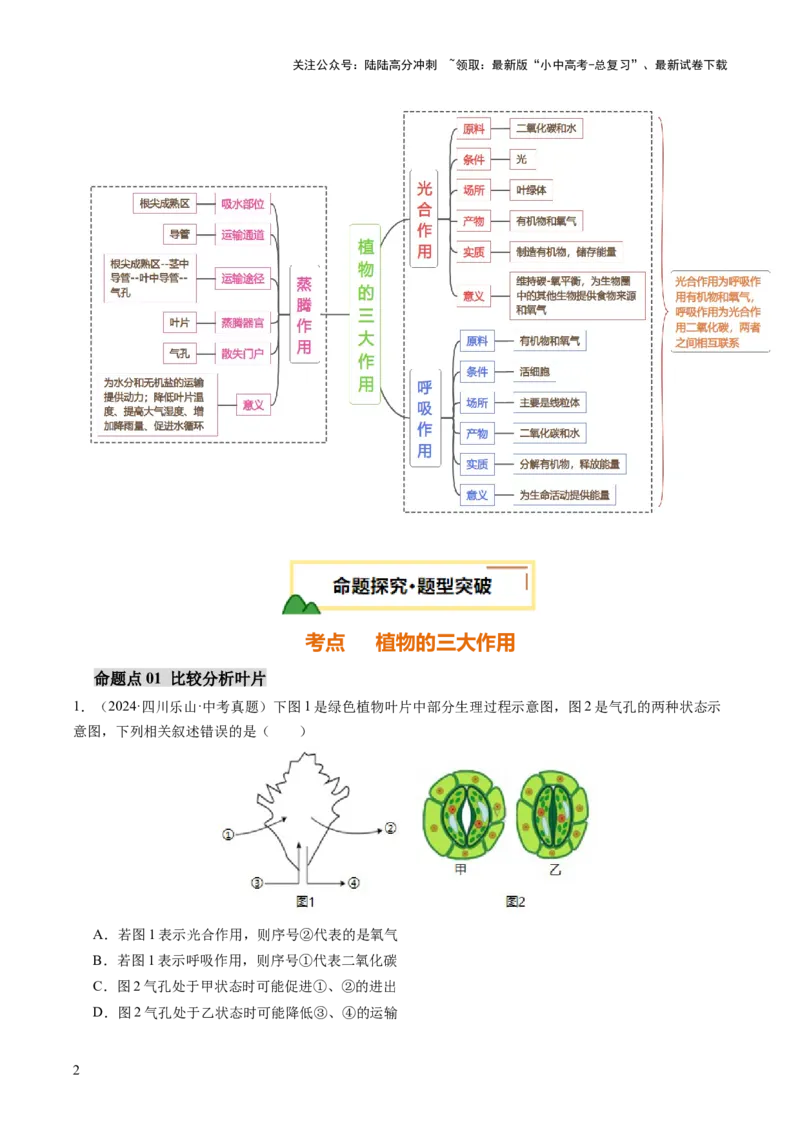 热点突破02植物的三大作用（讲练）（原卷版）_02中考总复习（2026版更新中）_08-生物-中考总复习_2025中考复习资料_2025中考二轮课件ppt+讲义+练习生物_讲义+练习