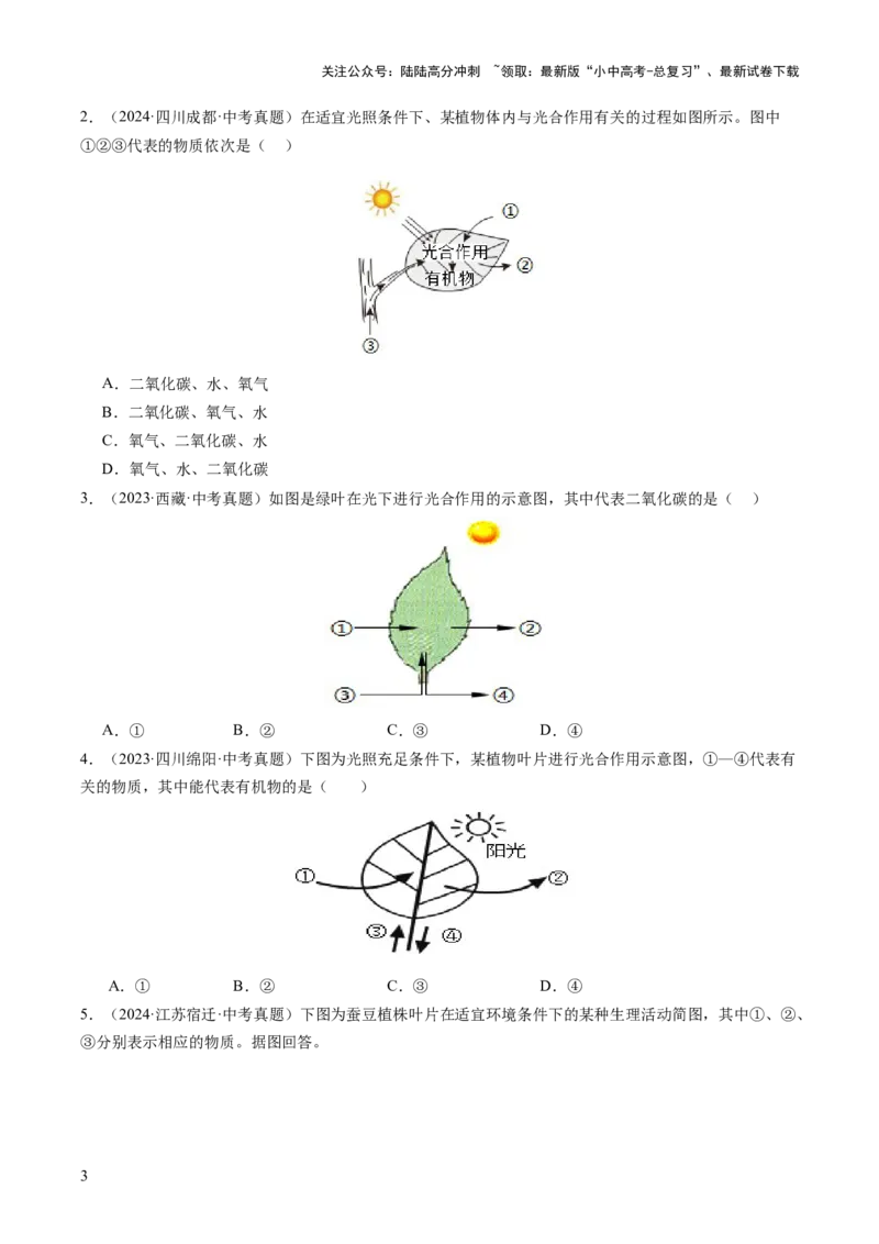 热点突破02植物的三大作用（讲练）（原卷版）_02中考总复习（2026版更新中）_08-生物-中考总复习_2025中考复习资料_2025中考二轮课件ppt+讲义+练习生物_讲义+练习