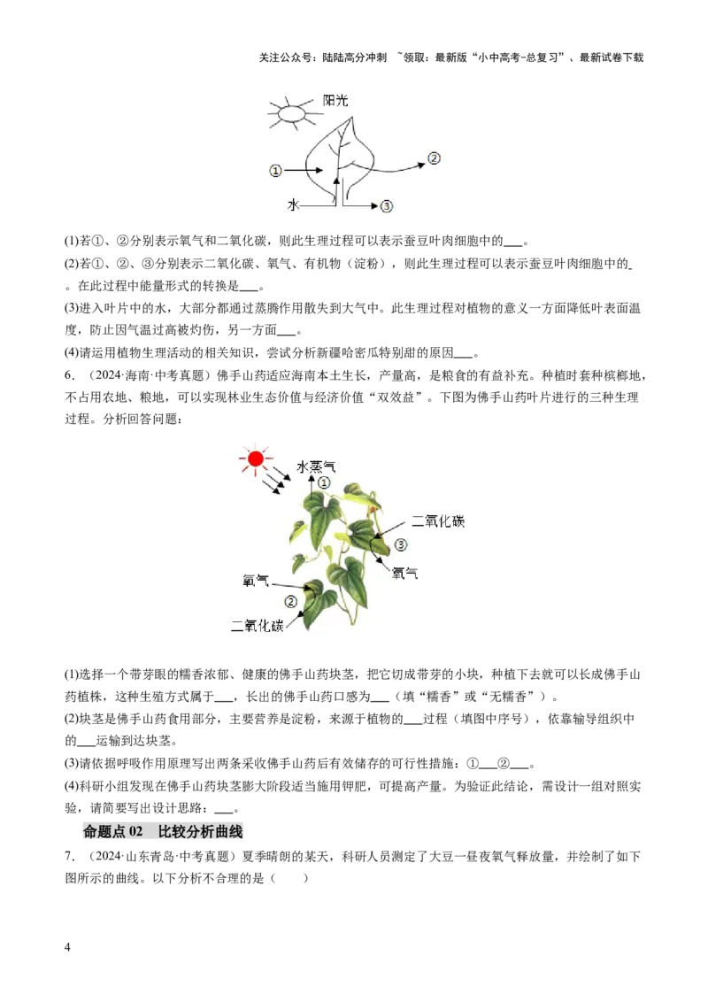 热点突破02植物的三大作用（讲练）（原卷版）_02中考总复习（2026版更新中）_08-生物-中考总复习_2025中考复习资料_2025中考二轮课件ppt+讲义+练习生物_讲义+练习