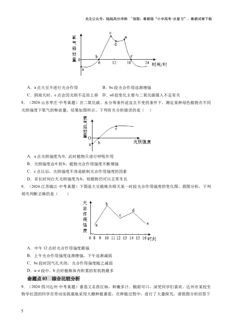 热点突破02植物的三大作用（讲练）（原卷版）_02中考总复习（2026版更新中）_08-生物-中考总复习_2025中考复习资料_2025中考二轮课件ppt+讲义+练习生物_讲义+练习