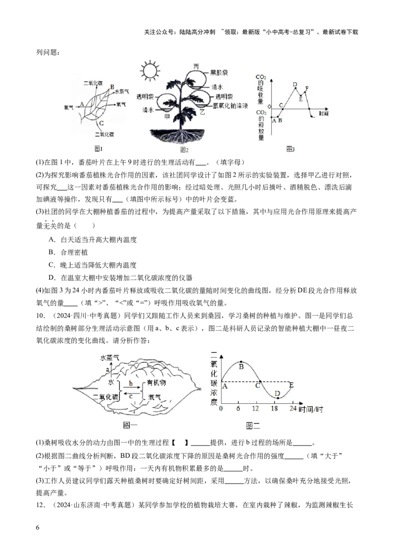 热点突破02植物的三大作用（讲练）（原卷版）_02中考总复习（2026版更新中）_08-生物-中考总复习_2025中考复习资料_2025中考二轮课件ppt+讲义+练习生物_讲义+练习