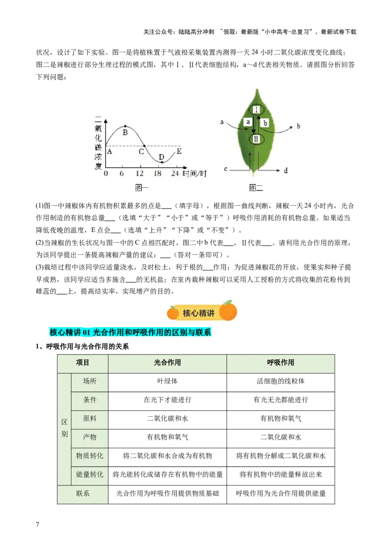 热点突破02植物的三大作用（讲练）（原卷版）_02中考总复习（2026版更新中）_08-生物-中考总复习_2025中考复习资料_2025中考二轮课件ppt+讲义+练习生物_讲义+练习