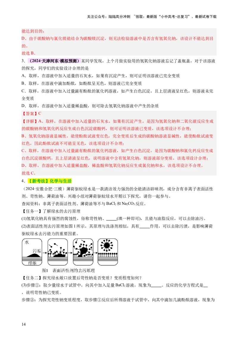 热点突破碱变质的研究（讲练）（解析版）_02中考总复习（2026版更新中）_05-化学-中考总复习_2025年中考复习资料_2025中考二轮课件ppt+讲义+练习化学_讲义+练习