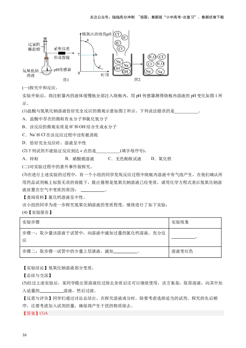 热点突破碱变质的研究（讲练）（解析版）_02中考总复习（2026版更新中）_05-化学-中考总复习_2025年中考复习资料_2025中考二轮课件ppt+讲义+练习化学_讲义+练习