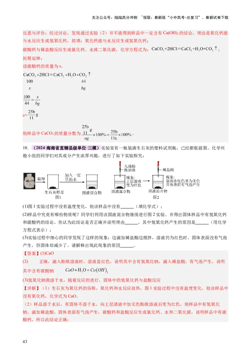 热点突破碱变质的研究（讲练）（解析版）_02中考总复习（2026版更新中）_05-化学-中考总复习_2025年中考复习资料_2025中考二轮课件ppt+讲义+练习化学_讲义+练习