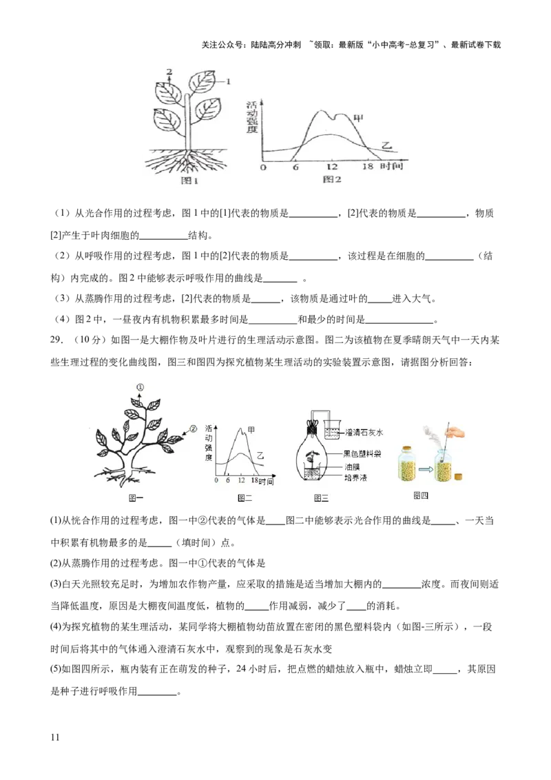 热点突破02植物的三大作用（测试）（原卷版）_02中考总复习（2026版更新中）_08-生物-中考总复习_2025中考复习资料_2025中考二轮课件ppt+讲义+练习生物_测试