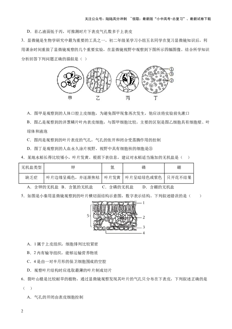 热点突破02植物的三大作用（测试）（原卷版）_02中考总复习（2026版更新中）_08-生物-中考总复习_2025中考复习资料_2025中考二轮课件ppt+讲义+练习生物_测试