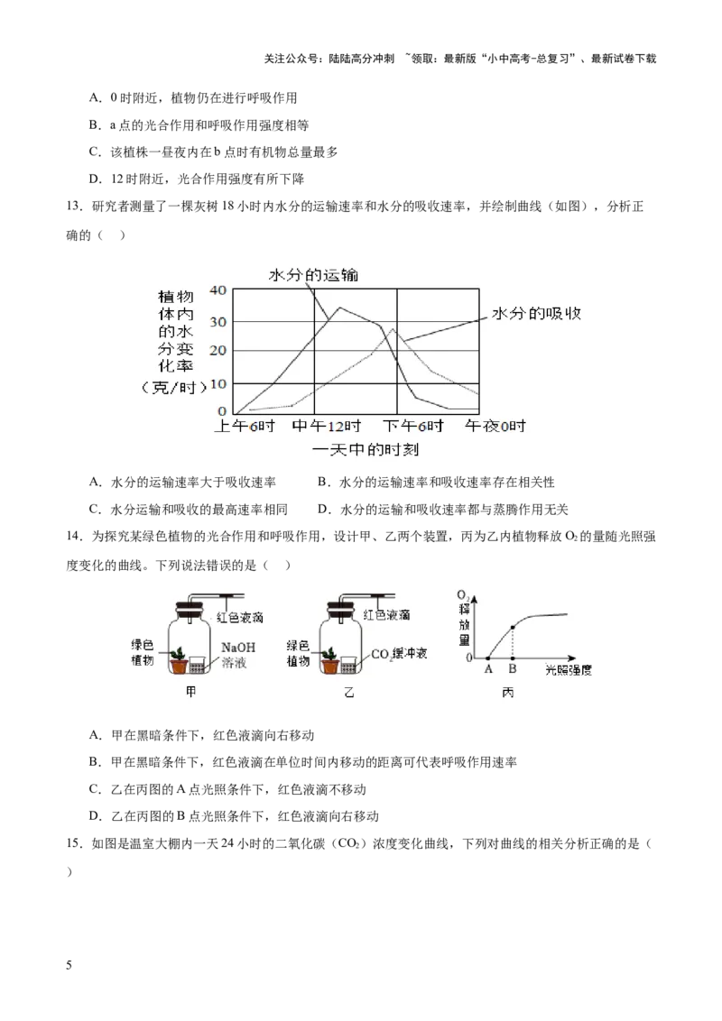 热点突破02植物的三大作用（测试）（原卷版）_02中考总复习（2026版更新中）_08-生物-中考总复习_2025中考复习资料_2025中考二轮课件ppt+讲义+练习生物_测试