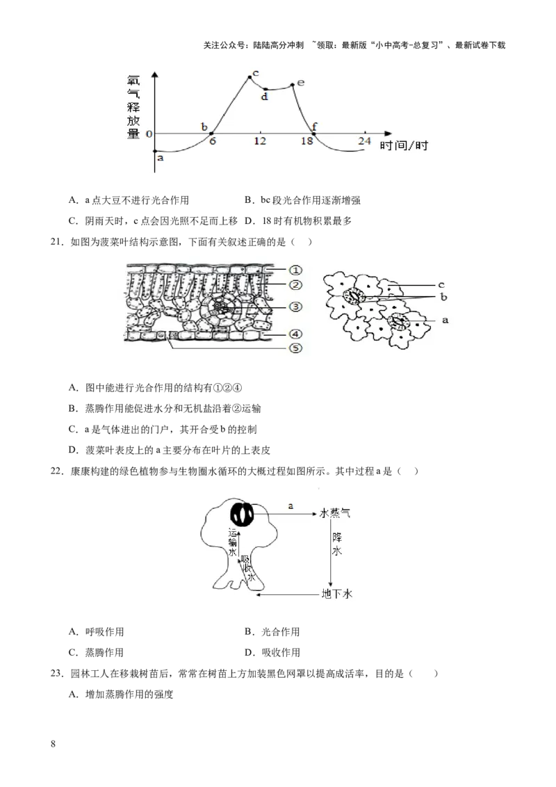 热点突破02植物的三大作用（测试）（原卷版）_02中考总复习（2026版更新中）_08-生物-中考总复习_2025中考复习资料_2025中考二轮课件ppt+讲义+练习生物_测试