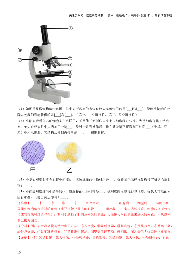 热点趋向02开放作答（讲练）（解析版）_02中考总复习（2026版更新中）_08-生物-中考总复习_2025中考复习资料_2025中考二轮课件ppt+讲义+练习生物_测试
