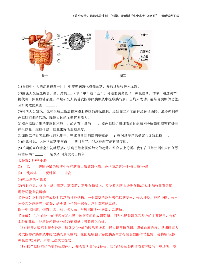 热点趋向02开放作答（讲练）（解析版）_02中考总复习（2026版更新中）_08-生物-中考总复习_2025中考复习资料_2025中考二轮课件ppt+讲义+练习生物_测试