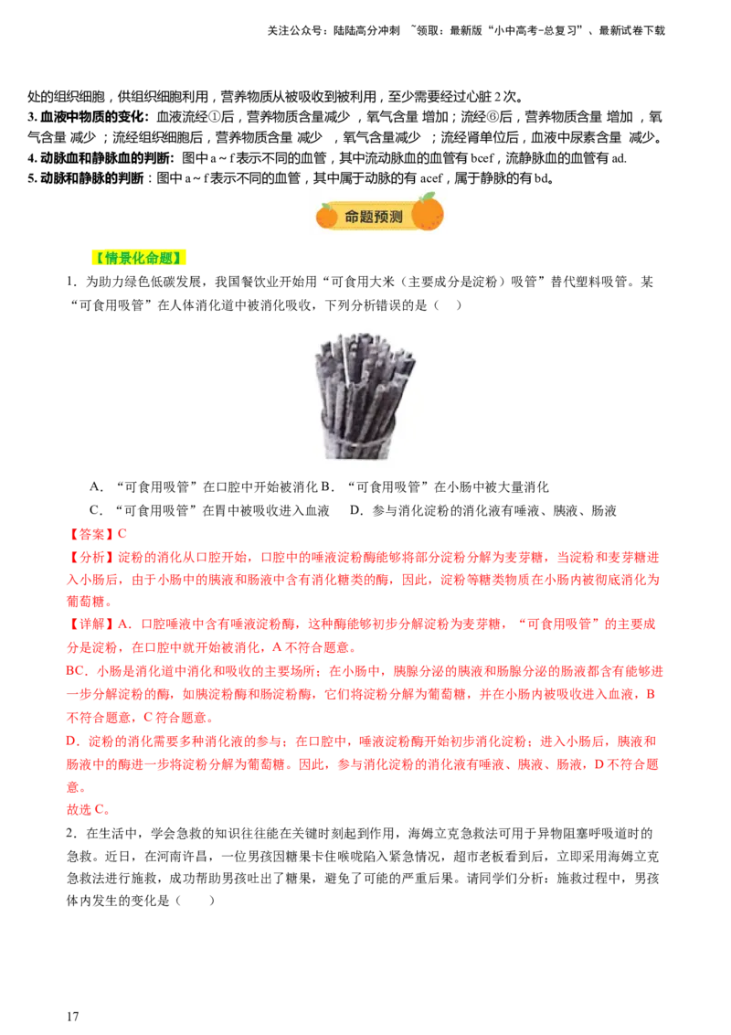 热点突破03人体生理活动模型构建（讲练）（解析版）_02中考总复习（2026版更新中）_08-生物-中考总复习_2025中考复习资料_2025中考二轮课件ppt+讲义+练习生物_讲义+练习