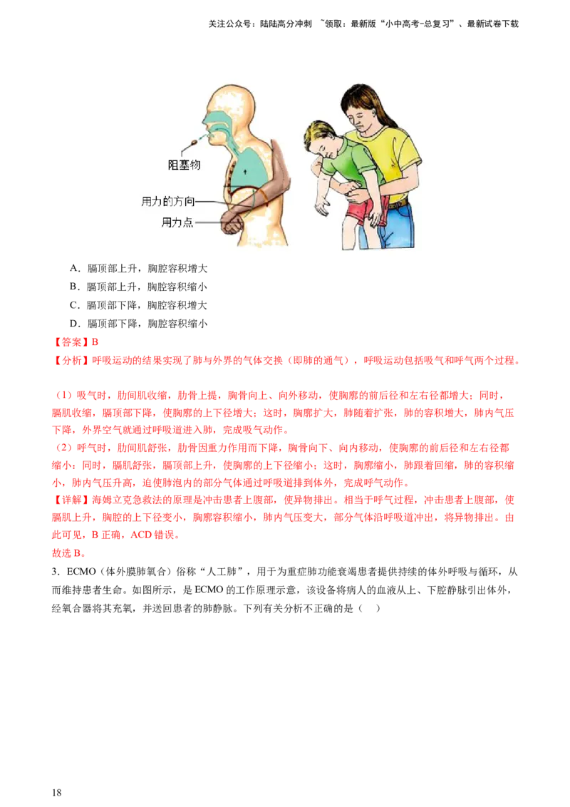 热点突破03人体生理活动模型构建（讲练）（解析版）_02中考总复习（2026版更新中）_08-生物-中考总复习_2025中考复习资料_2025中考二轮课件ppt+讲义+练习生物_讲义+练习