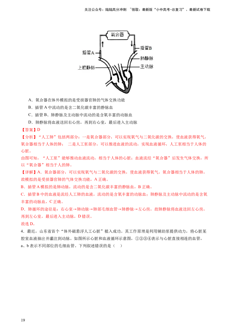 热点突破03人体生理活动模型构建（讲练）（解析版）_02中考总复习（2026版更新中）_08-生物-中考总复习_2025中考复习资料_2025中考二轮课件ppt+讲义+练习生物_讲义+练习