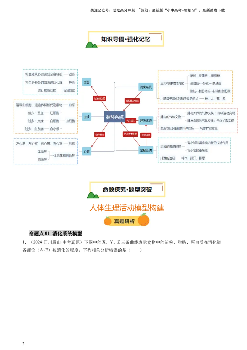 热点突破03人体生理活动模型构建（讲练）（解析版）_02中考总复习（2026版更新中）_08-生物-中考总复习_2025中考复习资料_2025中考二轮课件ppt+讲义+练习生物_讲义+练习