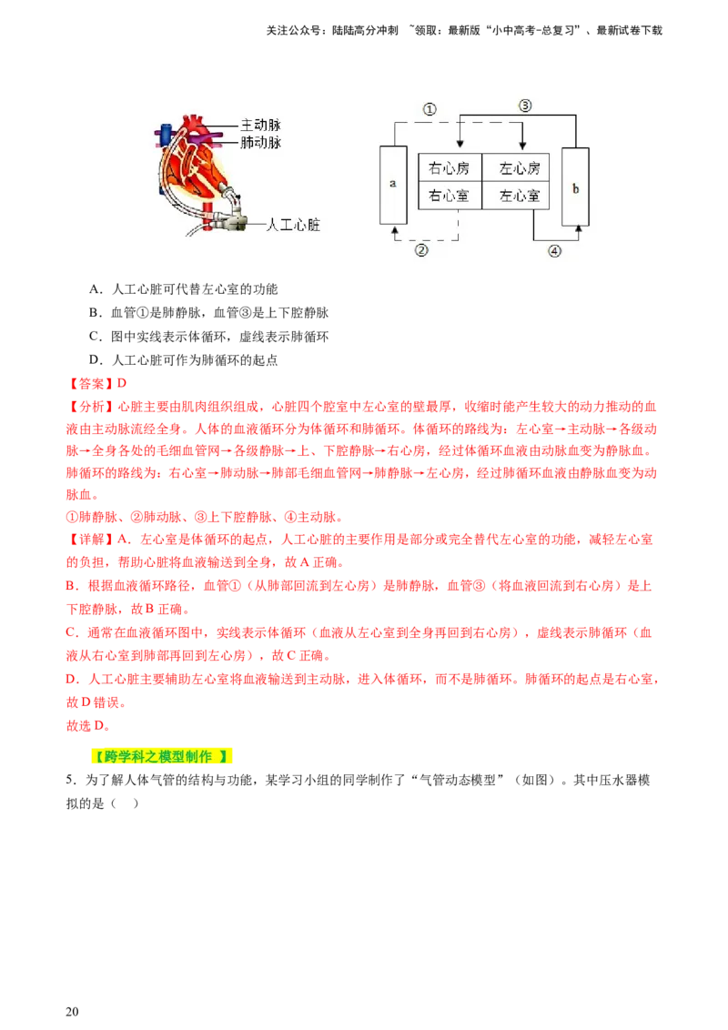 热点突破03人体生理活动模型构建（讲练）（解析版）_02中考总复习（2026版更新中）_08-生物-中考总复习_2025中考复习资料_2025中考二轮课件ppt+讲义+练习生物_讲义+练习