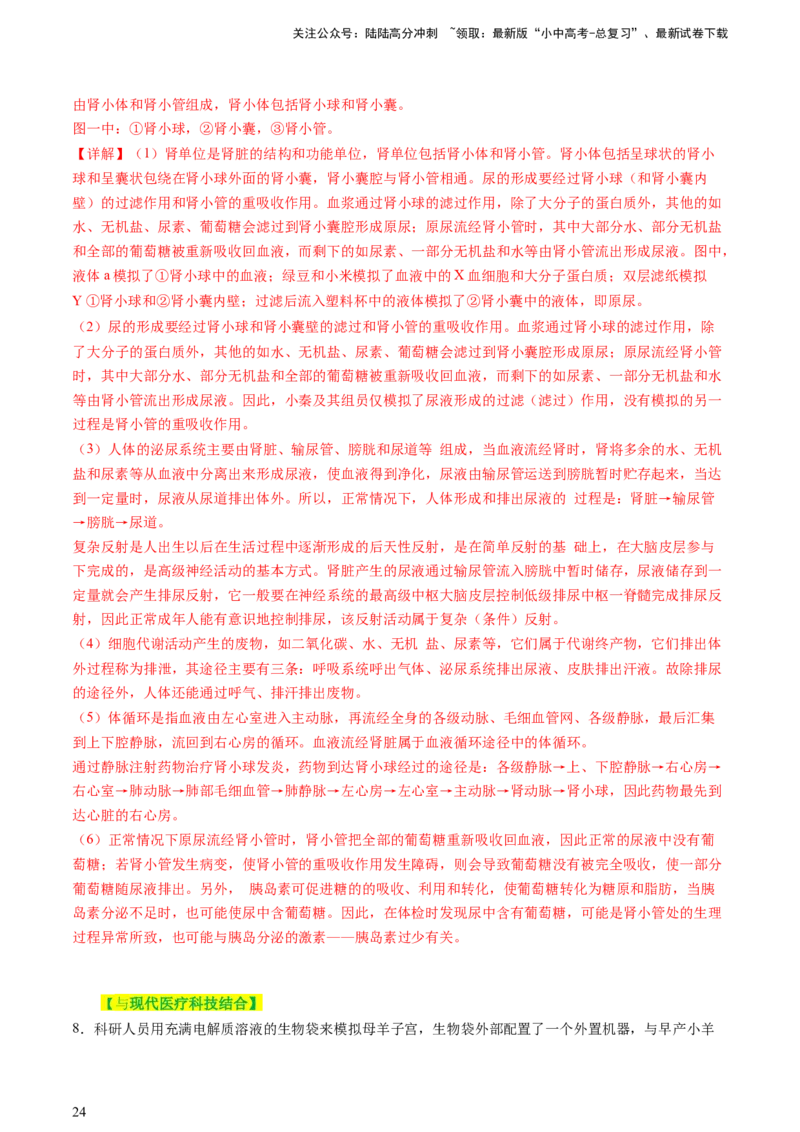 热点突破03人体生理活动模型构建（讲练）（解析版）_02中考总复习（2026版更新中）_08-生物-中考总复习_2025中考复习资料_2025中考二轮课件ppt+讲义+练习生物_讲义+练习