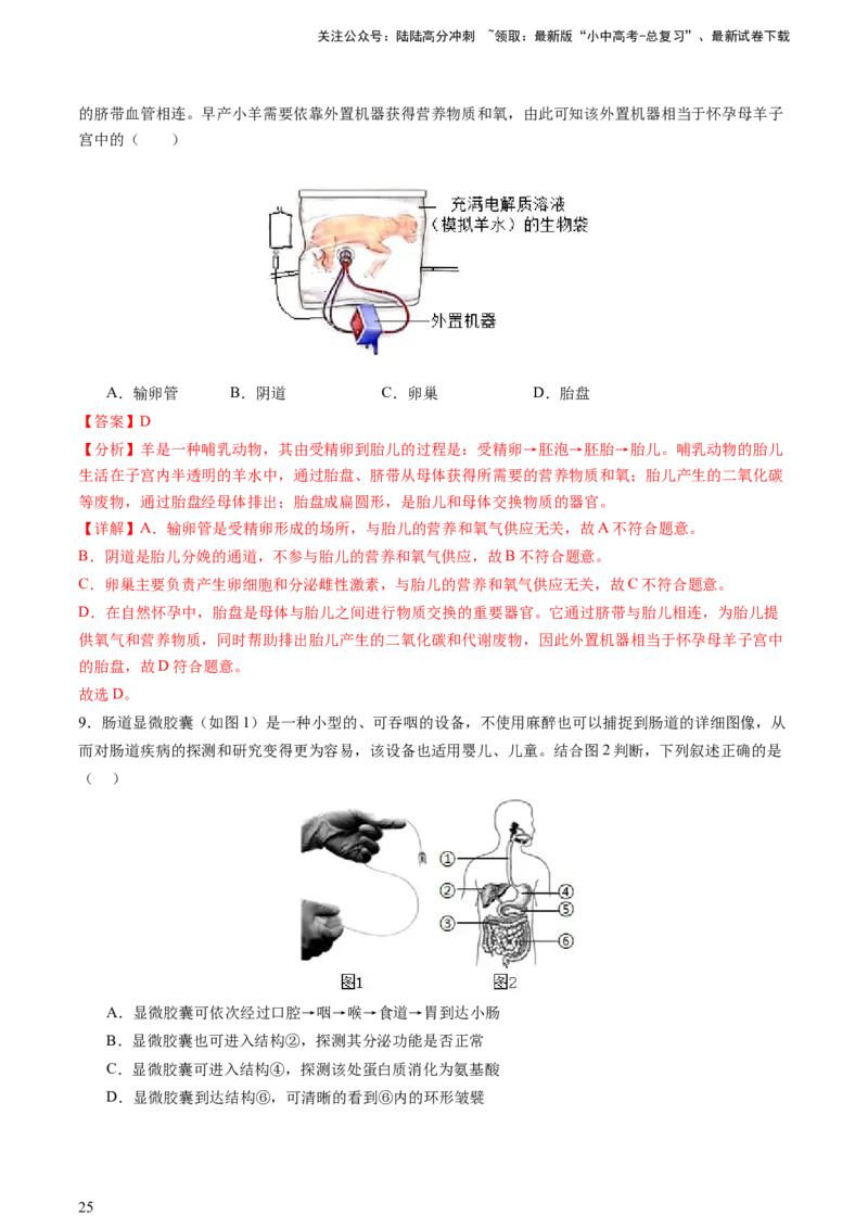 热点突破03人体生理活动模型构建（讲练）（解析版）_02中考总复习（2026版更新中）_08-生物-中考总复习_2025中考复习资料_2025中考二轮课件ppt+讲义+练习生物_讲义+练习