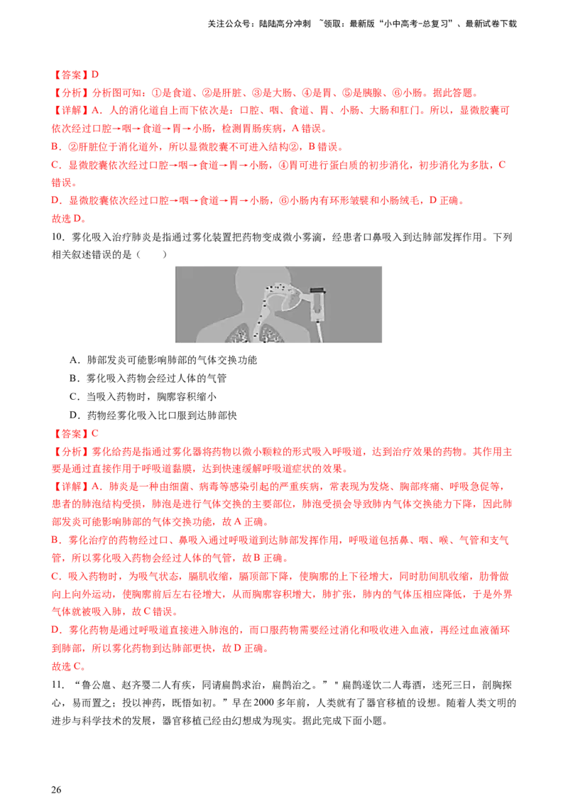 热点突破03人体生理活动模型构建（讲练）（解析版）_02中考总复习（2026版更新中）_08-生物-中考总复习_2025中考复习资料_2025中考二轮课件ppt+讲义+练习生物_讲义+练习