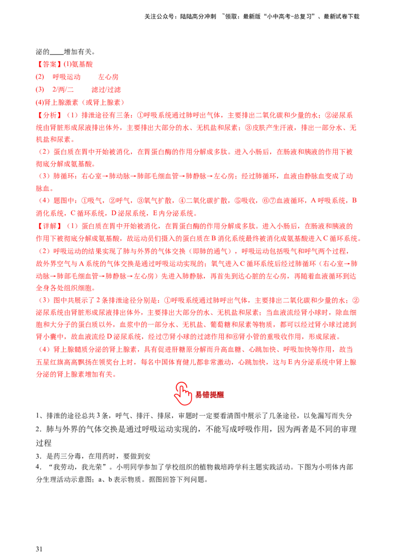 热点突破03人体生理活动模型构建（讲练）（解析版）_02中考总复习（2026版更新中）_08-生物-中考总复习_2025中考复习资料_2025中考二轮课件ppt+讲义+练习生物_讲义+练习