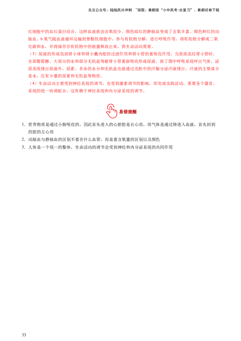 热点突破03人体生理活动模型构建（讲练）（解析版）_02中考总复习（2026版更新中）_08-生物-中考总复习_2025中考复习资料_2025中考二轮课件ppt+讲义+练习生物_讲义+练习