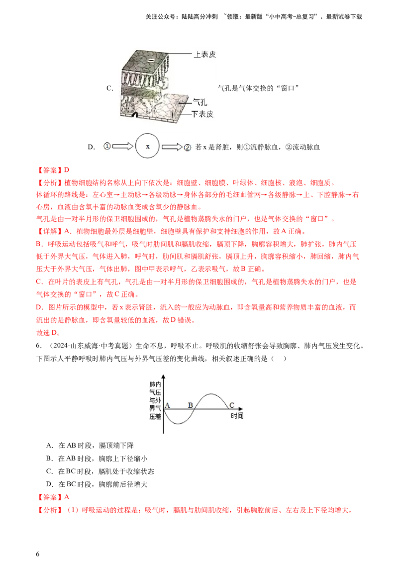热点突破03人体生理活动模型构建（讲练）（解析版）_02中考总复习（2026版更新中）_08-生物-中考总复习_2025中考复习资料_2025中考二轮课件ppt+讲义+练习生物_讲义+练习