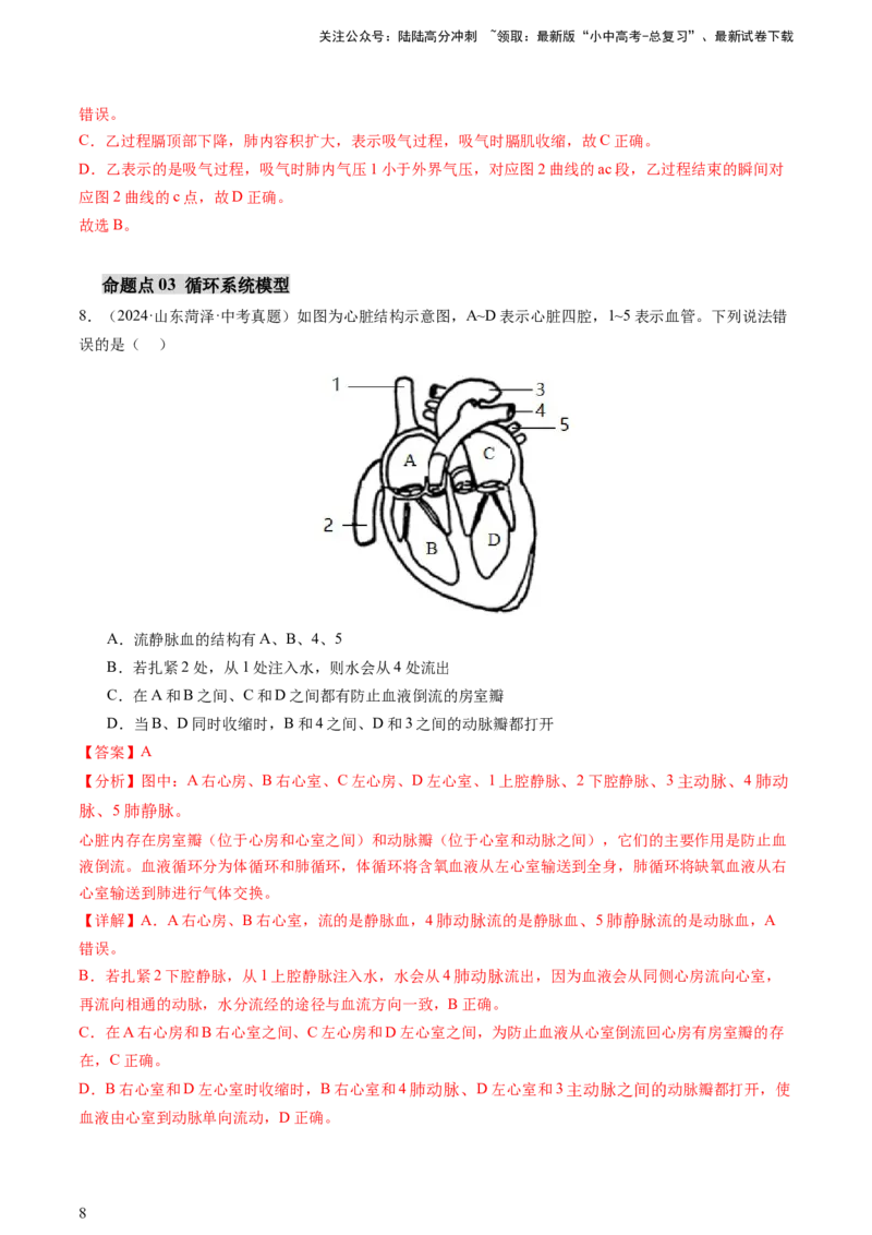 热点突破03人体生理活动模型构建（讲练）（解析版）_02中考总复习（2026版更新中）_08-生物-中考总复习_2025中考复习资料_2025中考二轮课件ppt+讲义+练习生物_讲义+练习