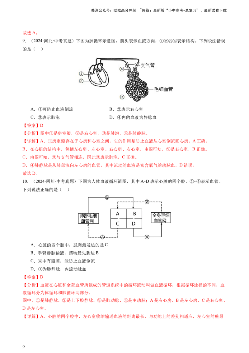 热点突破03人体生理活动模型构建（讲练）（解析版）_02中考总复习（2026版更新中）_08-生物-中考总复习_2025中考复习资料_2025中考二轮课件ppt+讲义+练习生物_讲义+练习