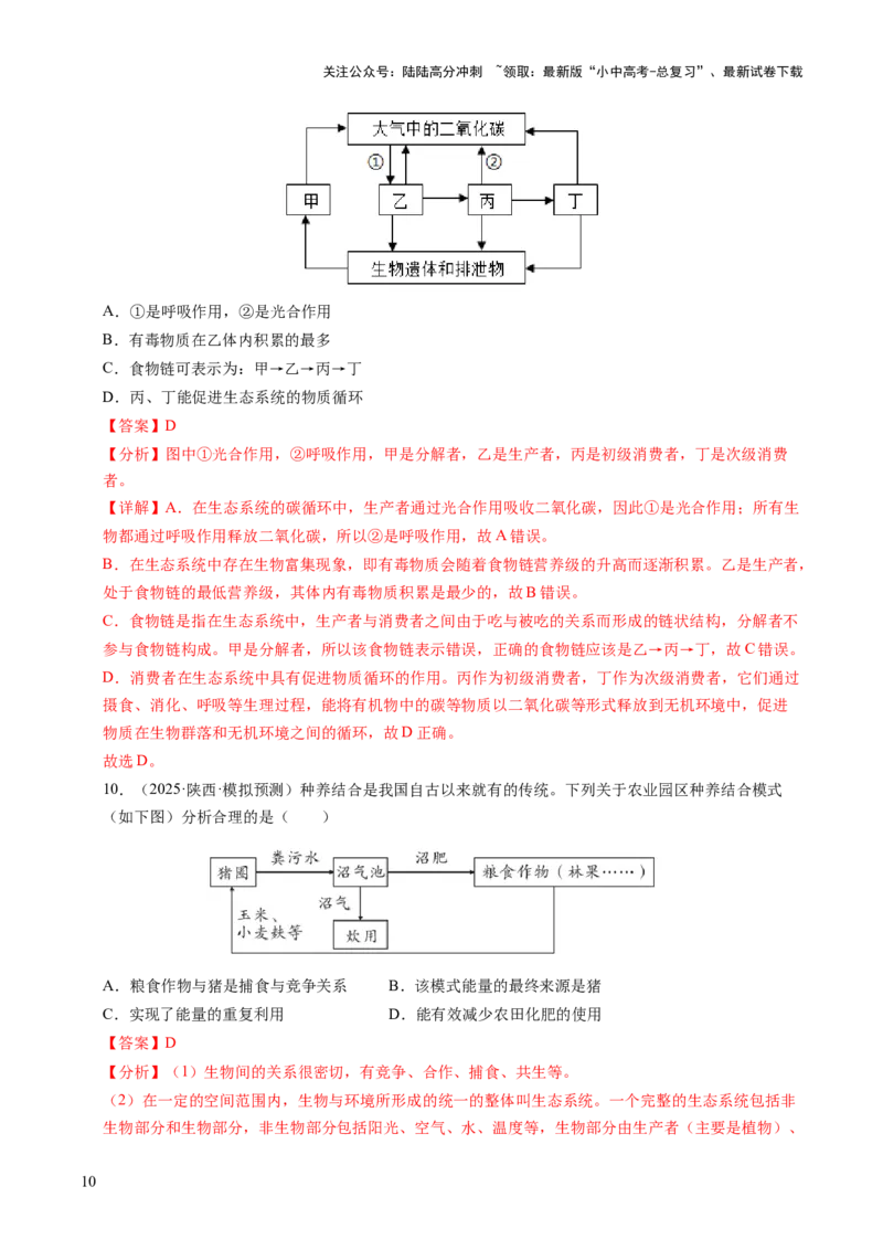 热点突破01食物网和碳循环模型的构建（讲练）（解析版）_02中考总复习（2026版更新中）_08-生物-中考总复习_2025中考复习资料_2025中考二轮课件ppt+讲义+练习生物_讲义+练习