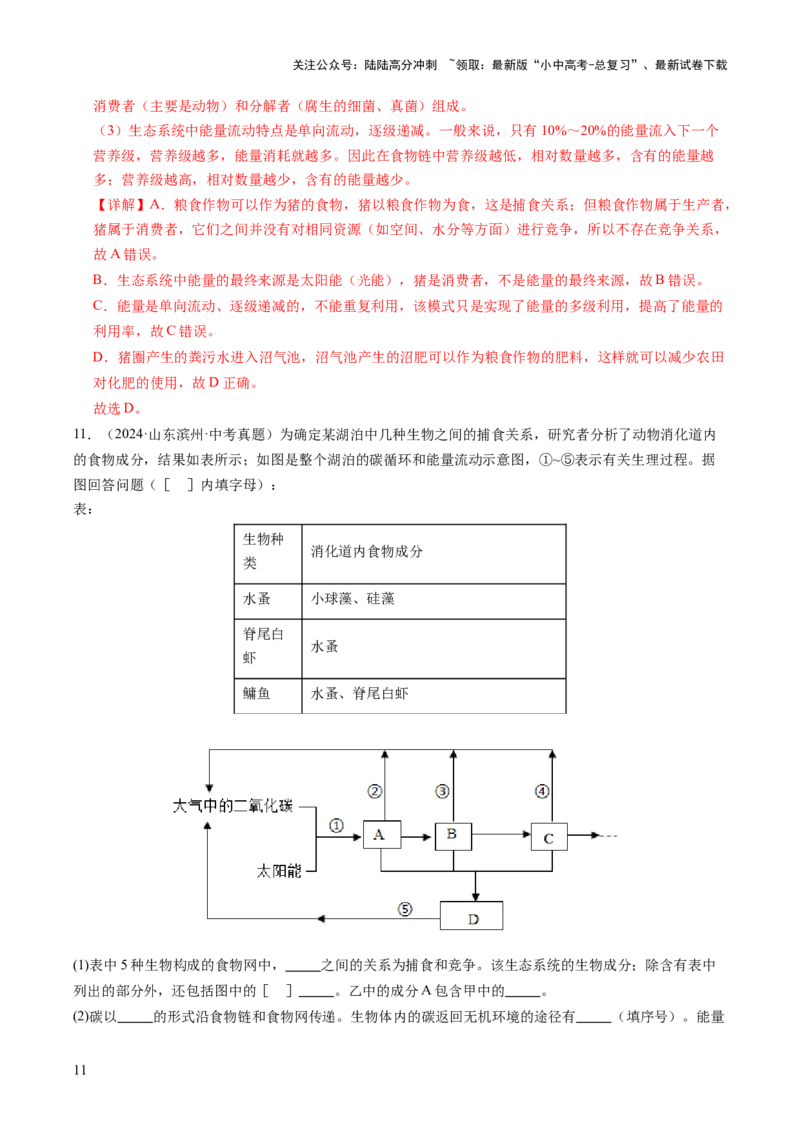 热点突破01食物网和碳循环模型的构建（讲练）（解析版）_02中考总复习（2026版更新中）_08-生物-中考总复习_2025中考复习资料_2025中考二轮课件ppt+讲义+练习生物_讲义+练习
