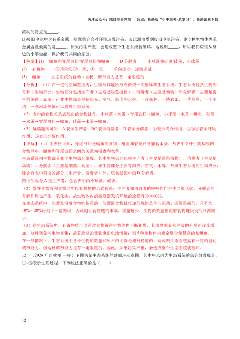 热点突破01食物网和碳循环模型的构建（讲练）（解析版）_02中考总复习（2026版更新中）_08-生物-中考总复习_2025中考复习资料_2025中考二轮课件ppt+讲义+练习生物_讲义+练习