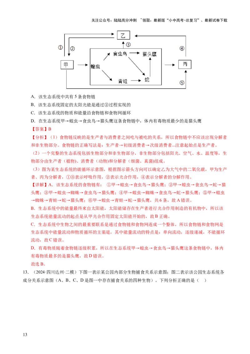 热点突破01食物网和碳循环模型的构建（讲练）（解析版）_02中考总复习（2026版更新中）_08-生物-中考总复习_2025中考复习资料_2025中考二轮课件ppt+讲义+练习生物_讲义+练习