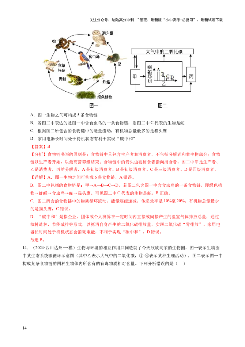 热点突破01食物网和碳循环模型的构建（讲练）（解析版）_02中考总复习（2026版更新中）_08-生物-中考总复习_2025中考复习资料_2025中考二轮课件ppt+讲义+练习生物_讲义+练习