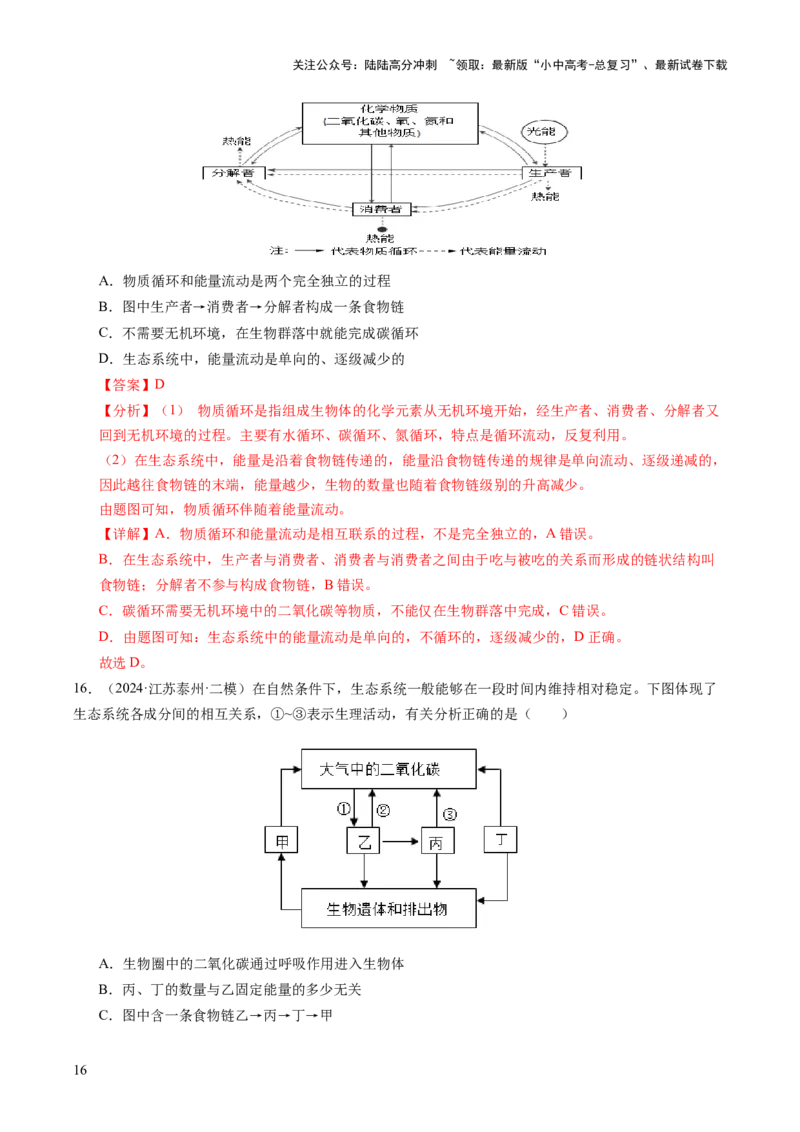 热点突破01食物网和碳循环模型的构建（讲练）（解析版）_02中考总复习（2026版更新中）_08-生物-中考总复习_2025中考复习资料_2025中考二轮课件ppt+讲义+练习生物_讲义+练习