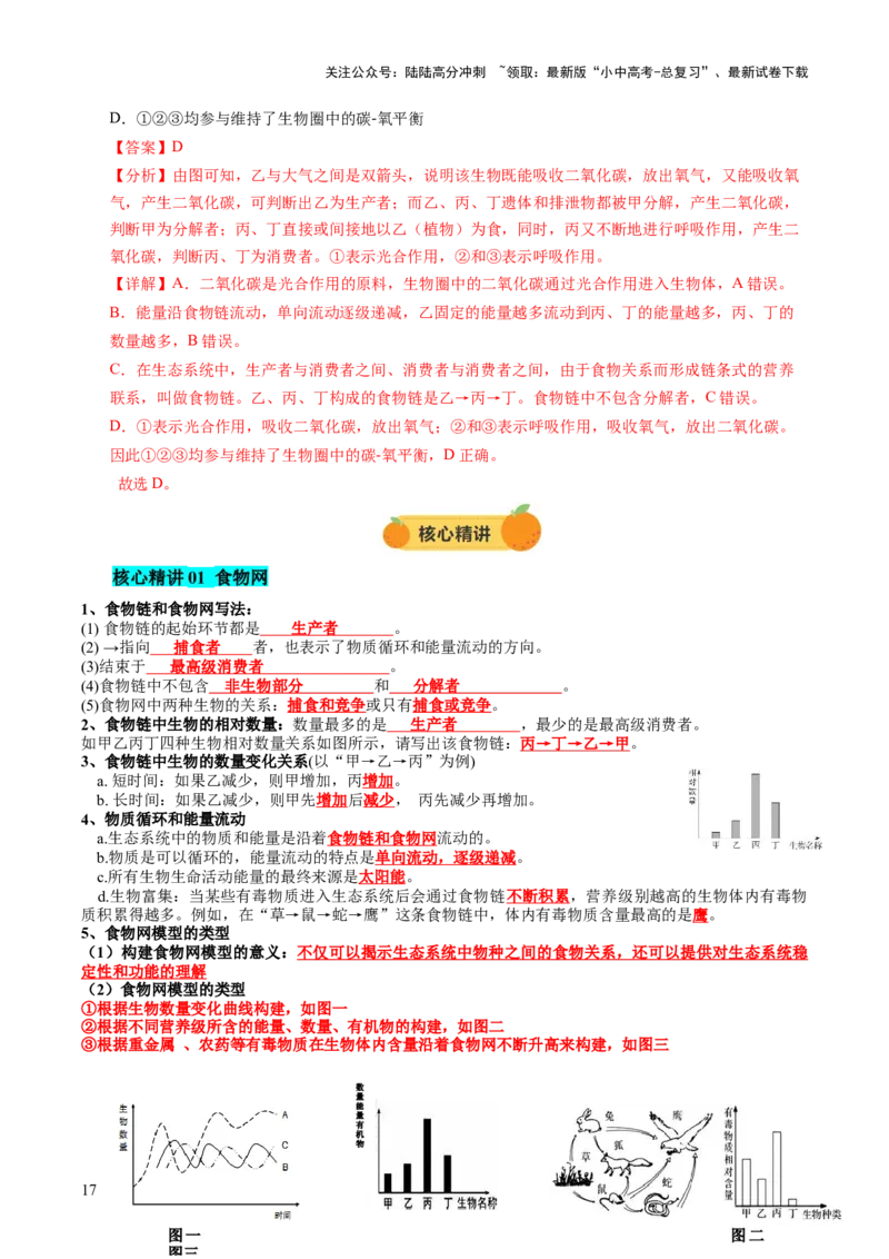 热点突破01食物网和碳循环模型的构建（讲练）（解析版）_02中考总复习（2026版更新中）_08-生物-中考总复习_2025中考复习资料_2025中考二轮课件ppt+讲义+练习生物_讲义+练习