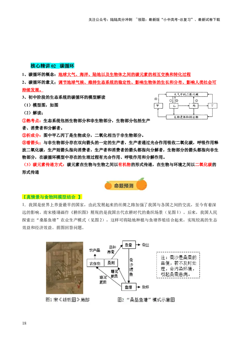 热点突破01食物网和碳循环模型的构建（讲练）（解析版）_02中考总复习（2026版更新中）_08-生物-中考总复习_2025中考复习资料_2025中考二轮课件ppt+讲义+练习生物_讲义+练习