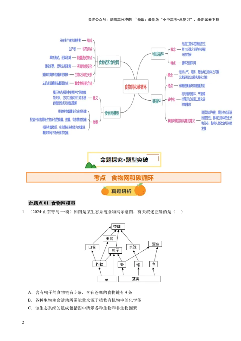 热点突破01食物网和碳循环模型的构建（讲练）（解析版）_02中考总复习（2026版更新中）_08-生物-中考总复习_2025中考复习资料_2025中考二轮课件ppt+讲义+练习生物_讲义+练习