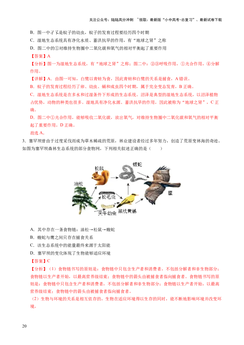 热点突破01食物网和碳循环模型的构建（讲练）（解析版）_02中考总复习（2026版更新中）_08-生物-中考总复习_2025中考复习资料_2025中考二轮课件ppt+讲义+练习生物_讲义+练习