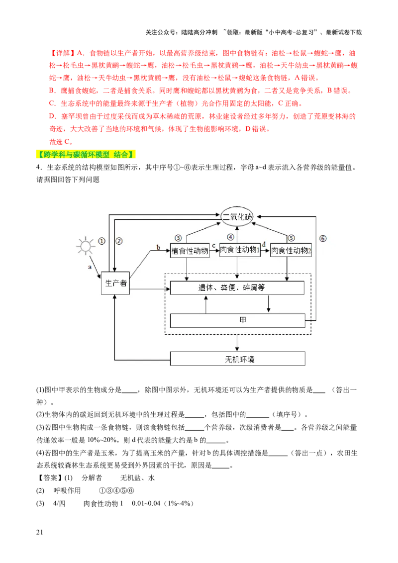 热点突破01食物网和碳循环模型的构建（讲练）（解析版）_02中考总复习（2026版更新中）_08-生物-中考总复习_2025中考复习资料_2025中考二轮课件ppt+讲义+练习生物_讲义+练习