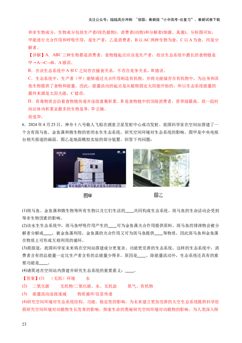 热点突破01食物网和碳循环模型的构建（讲练）（解析版）_02中考总复习（2026版更新中）_08-生物-中考总复习_2025中考复习资料_2025中考二轮课件ppt+讲义+练习生物_讲义+练习